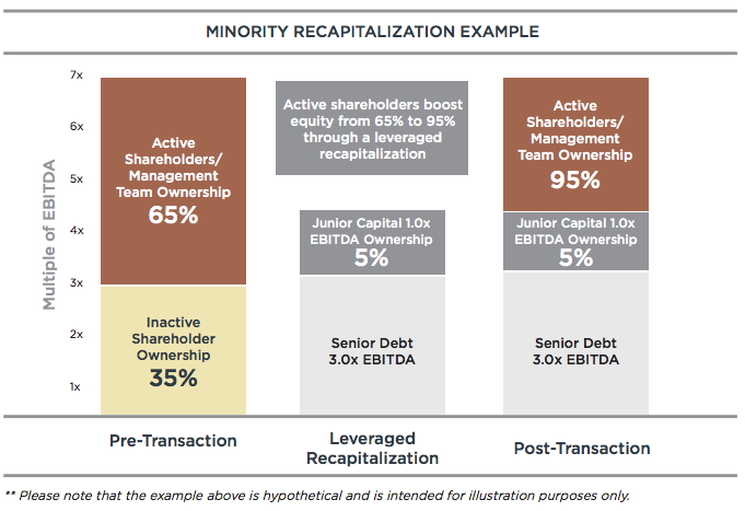 minority-recapitalization-example